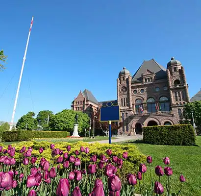 Queen's Park in spring with purple tulips in the foreground
